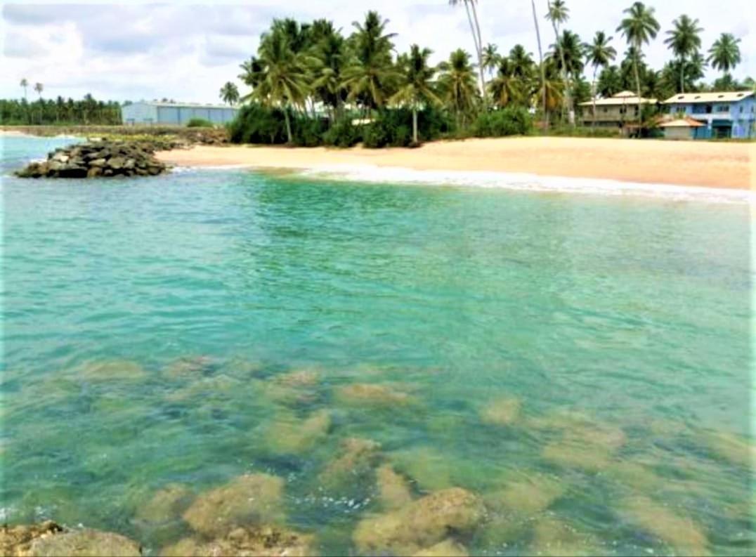 Sea Shell Villa Hikkaduwa 2 Separate Cabanas Ocean Front Villa 外观 照片